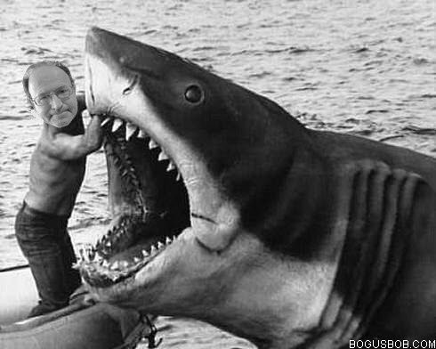  Bogus Bob seaches for his friend in a shark 