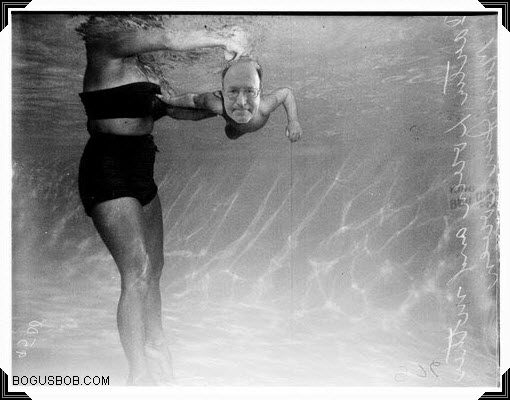  Bogus Bob likes to swim 