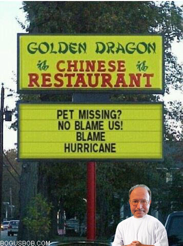  Bogus Bob loves Chinese food 