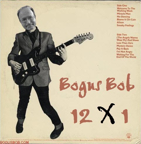  Bogus Bob records 12 songs on his own 